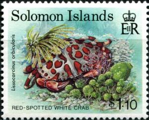 Red-spotted-White-Crab-Lissocarcinus-orbicularis.jpg