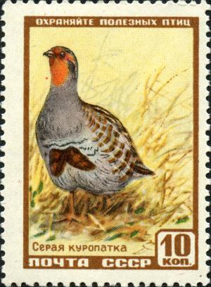 Stamp_of_USSR_1986.jpg
