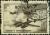 Stamp_of_USSR_1034g.jpg