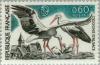 Colnect-144-856-White-Stork-Ciconia-ciconia.jpg
