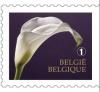 Colnect-1777-866-Mourning-Stamp---Right-imperforate.jpg
