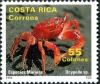 Colnect-2198-514-Ghost-Crab-Ocypode-sp.jpg