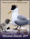 Colnect-5995-543-Greater-Crested-Tern-Thalasseus-bergii.jpg