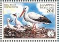 Colnect-1058-238-White-Stork-Ciconia-ciconia.jpg