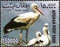 Colnect-2224-346-White-Stork-Ciconia-ciconia.jpg