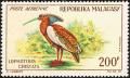 Colnect-2580-966-Madagascar-Crested-Ibis-Lophotibis-cristata.jpg