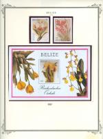 WSA-Belize-Postage-1987-9.jpg