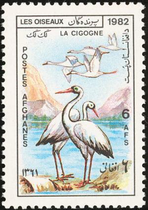 Colnect-1624-225-White-Stork-Ciconia-ciconia.jpg