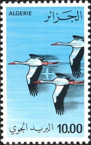 Colnect-1650-674-White-Stork-Ciconia-ciconia.jpg