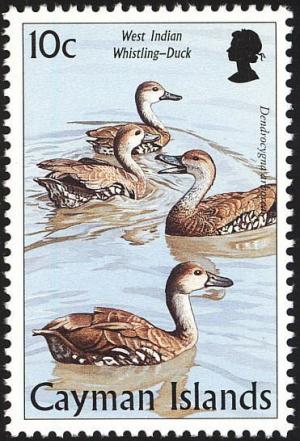 Colnect-1776-860-West-Indian-Whistling-Duck-Dendrocygna-arborea.jpg