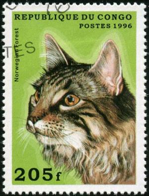 Colnect-3726-115-Norwegian-Forest-Cat-Felis-silvestris-catus.jpg