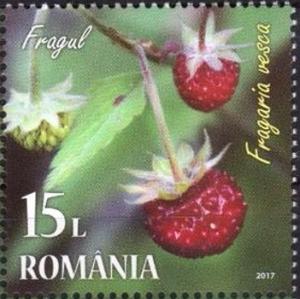 Colnect-4430-396-European-strawberry-Fragaria-vesca.jpg