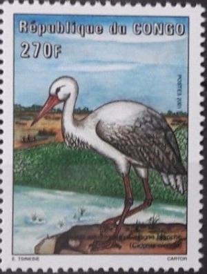Colnect-4544-629-White-Stork-Ciconia-ciconia.jpg