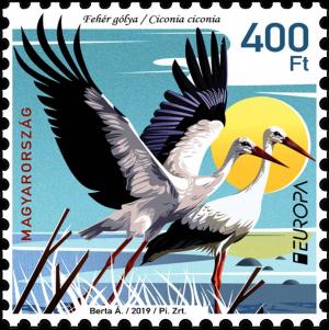 Colnect-5892-260-White-Stork-Ciconia-ciconia.jpg