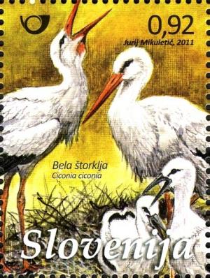 Colnect-932-993-White-Stork-Ciconia-ciconia.jpg