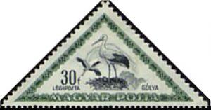 Colnect-994-195-White-Stork-Ciconia-ciconia.jpg