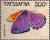 Colnect-6103-209-Asterope-Butterfly.jpg