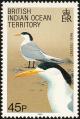 Colnect-1553-522-Greater-Crested-Tern-Thalasseus-bergii.jpg