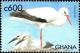 Colnect-6035-677-White-Stork-Ciconia-ciconia.jpg