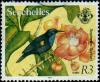 Colnect-2049-714-Seychelles-Sunbird-Cinnyris-dussumieri.jpg