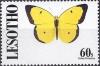 Colnect-2249-587-Clouded-Sulphur-Colias-philodice.jpg