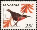 Colnect-1502-535-Scarlet-chested-Sunbird-Chalcomitra-senegalensis.jpg