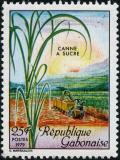 Colnect-2273-520-Sugar-cane-plant.jpg