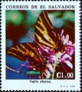 Colnect-2271-731-Three-tailed-Swallowtail-Papilio-pilumnus.jpg