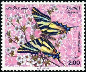 Colnect-2561-484-Chinese-Scarce-Swallowtail-Papilio-podalirius.jpg