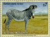 Colnect-138-968-Grevy-s-Zebra-Equus-grevyi.jpg