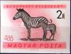 Colnect-1469-621-Plains-Zebra-Equus-quagga.jpg
