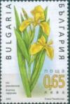Colnect-1832-731-Iris-Iris-pseudacorus.jpg
