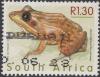 Colnect-3177-504-Dwarf-grass-frog-Ptychadena-pumilio.jpg