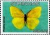 Colnect-3489-942-Cloudless-Sulphur-Phoebis-sennae.jpg