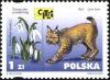 Colnect-3823-617-Snowdrop-Galanthus-nivalis-Eurasian-Lynx-Lynx-lynx.jpg