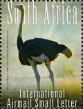 5-large-birds---Ostrich.jpg