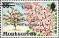 Colnect-1640-559-Flowering-trees-of-Montserrat---Pink-Cassia.jpg