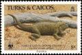 Colnect-1764-345-Turks-and-Caicos-Rock-Iguana-Cyclura-carinata.jpg