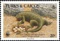 Colnect-1764-347-Turks-and-Caicos-Rock-Iguana-Cyclura-carinata.jpg
