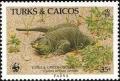 Colnect-1764-348-Turks-and-Caicos-Rock-Iguana-Cyclura-carinata.jpg