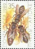 Colnect-195-574-Queen-and-Workers-Apis-mellifica-on-Honeycomb-.jpg