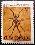 Colnect-1951-730-Anopheles-Mosquito-Anopheles-sp.jpg