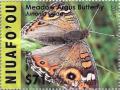 Colnect-3470-425-Meadow-Argus-Butterfly-Junonia-villida.jpg