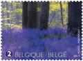 Colnect-3898-930-Carpets-of-Common-Bluebells.jpg