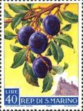 Colnect-481-572-Plums-Prunus-domestica.jpg