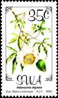Colnect-5253-567-Flowers--Adansonia-digitata.jpg