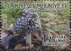 Colnect-3052-204-Mushrooms---Coprinopsis-picacea.jpg
