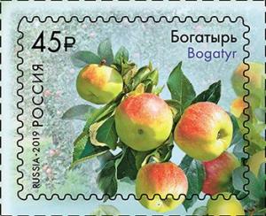 Colnect-5703-450-Apples-of-Russia--Bagatyr.jpg