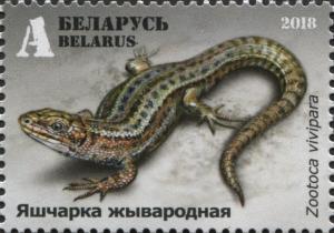 Colnect-5817-263-Viviparous-Lizard-Zootoca-vivipara.jpg
