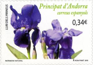 Colnect-685-497-Pyrenees-Iris-Iris-latifolia.jpg